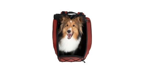 Plecak Champion Large Dog Jet Maroon